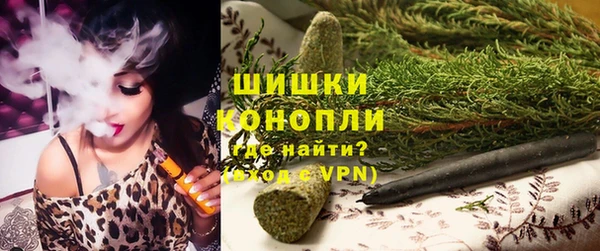 молекула духа Дмитриев