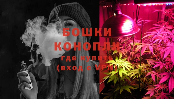 молекула духа Дмитриев
