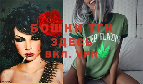 мдма Ельня