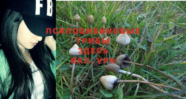 молекула духа Дмитриев