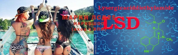 молекула духа Дмитриев